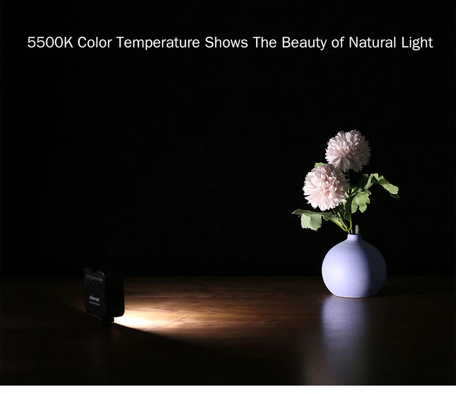 BRR × Ulanzi VL49 Creator Light